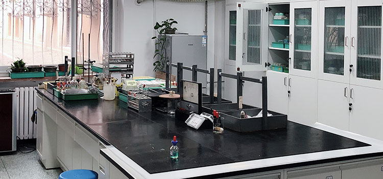 1666602136456214.jpg 中學實驗室.jpg